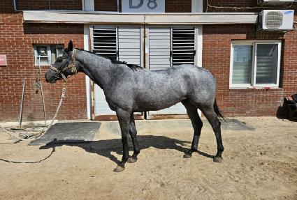 ��������� ����