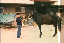 õ�ջ� (CHEUN DEUNG SAN) ����