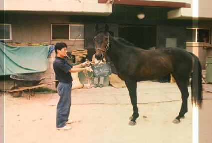 õ�ջ� ����