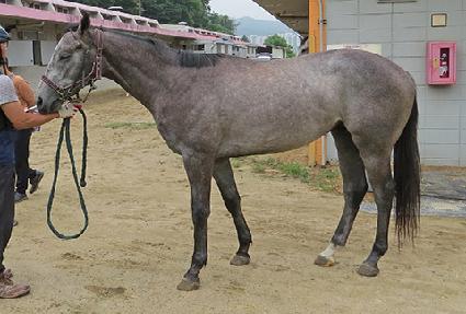 �巡����� ����