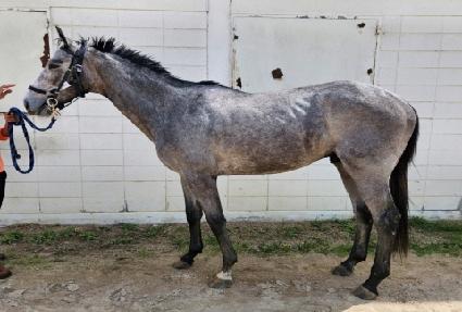 û��巡�� ����