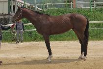 ��������� (STORMY K) ����