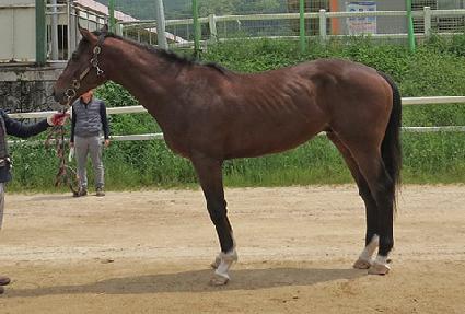 ��������� ����