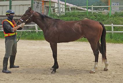 ���븶�� ����