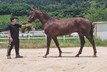 ȣ������ (HOMYEONG JILJU) ����