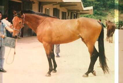 ��ó�� ����