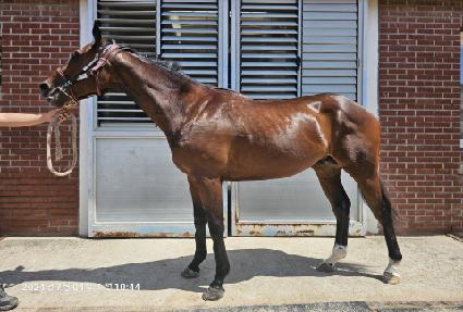 �긮��ĸƾ ����