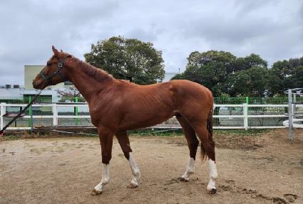 �������ۿ� ����