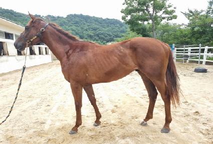 ��ī�̷�ȣ ����