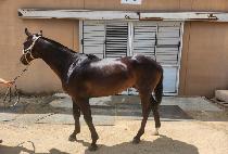 ���δ��� (SEOBU DANCING) ����