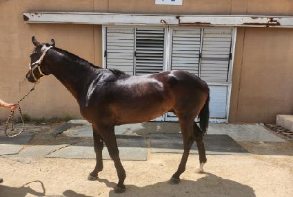 ���δ��� ����