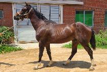 �ε������ (ROAD TO HEUIMANG) ����