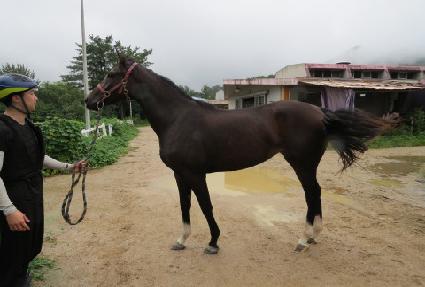 ������� ����