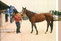 �׸��� (GEU RI WOOM) ����