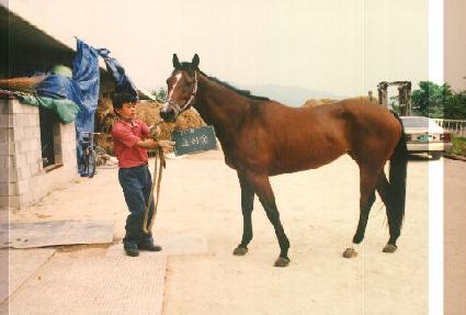 �׸��� ����