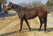 ��͸� (UWARYUNG) ����