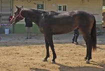 ��ո� (UWANGRYUNG) ����