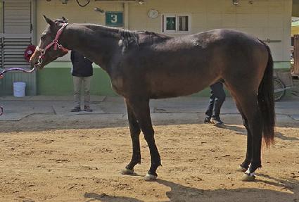 ��ո� ����