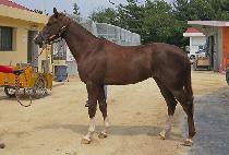 ����Ƽ�� (MIGHTY SHONE) ����