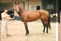 ������ (YONG JUNG RI) ����