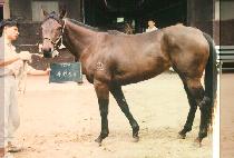 ��õƯ�� (KWA CHON TEUK GEUB) ����