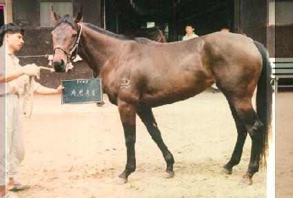 ��õƯ�� ����