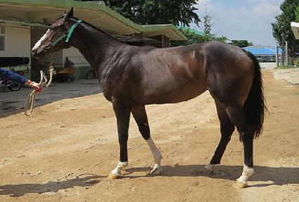 ���ʹ�è�� ����