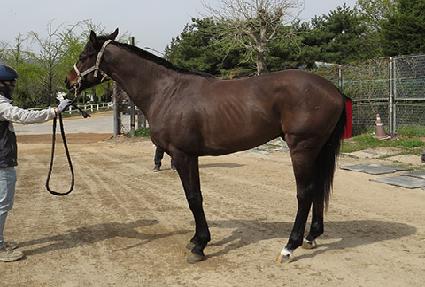 ����������� ����