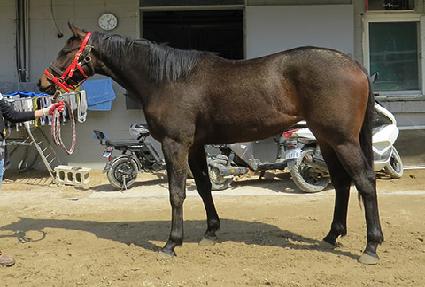 ����η����� ����