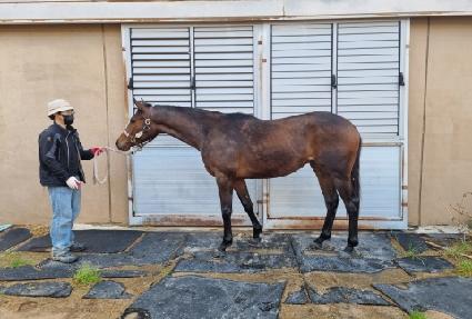 �Ѿ� ����