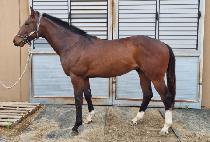 �ְ��ǲ� (CHOEGOUI KKUM) ����