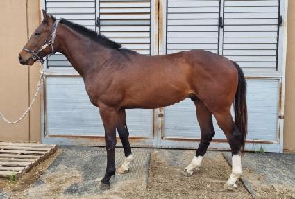 �ְ��ǲ� ����