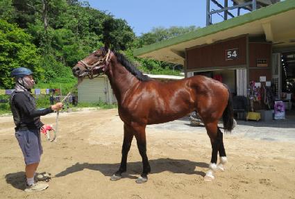 ��õ���� ����