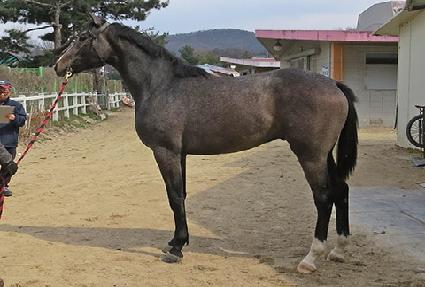 ���൹ǳ ����