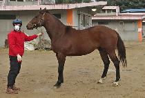 �ѿ츮 (HANURI) ����