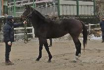 ī�� (KHAS) ����