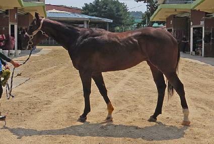 ������ ����