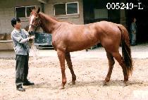 �ݰ��� (GEUM KWAN CHIONG) ����