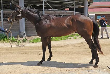 �������� ����