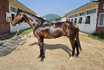 ������Ŭ���� (YEONGGWANGUI CLEAR) ����