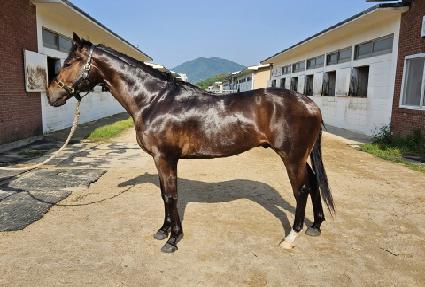 ������Ŭ���� ����