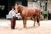 ���Ϳ� (DOO TEU WOON) ����