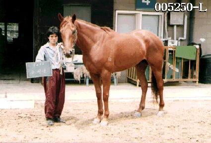 ���Ϳ� ����