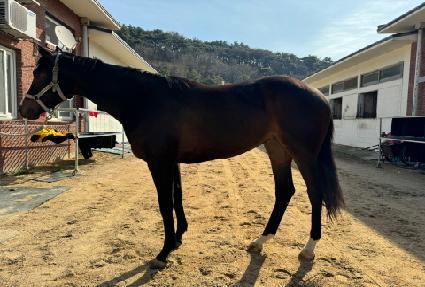 ���ص��� ����