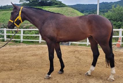 ���͸��ͽ� ����