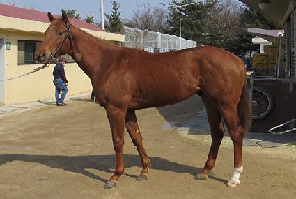 ��Ŭ����Ÿ�� ����