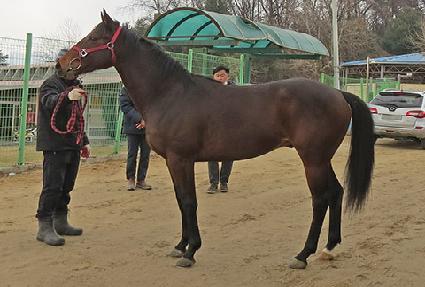 �����̸� ����