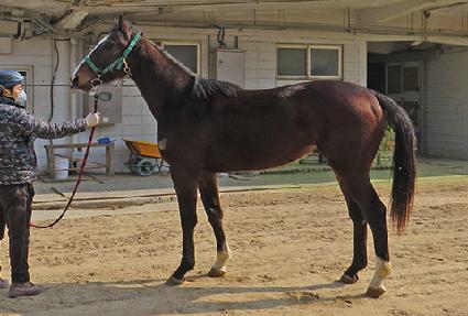 ������ ����