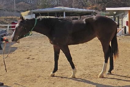 ��Ű�ϴ� ����