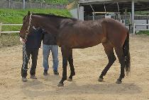 ������Ȱ (YEONGUNG BUHWAL) ����